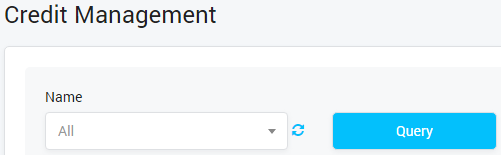 Credit Management Query Form